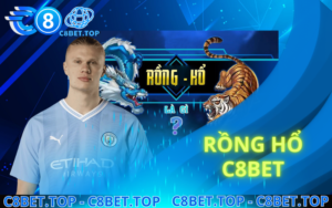 Rồng Hổ C8Bet