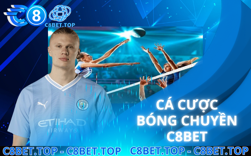 Hướng dẫn chơi cá cược bóng chuyền C8bet chắc thắng