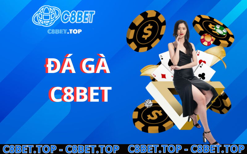 Đá Gà c8bet casino